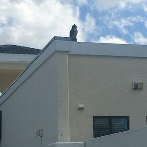 Meet your Posher, Paula